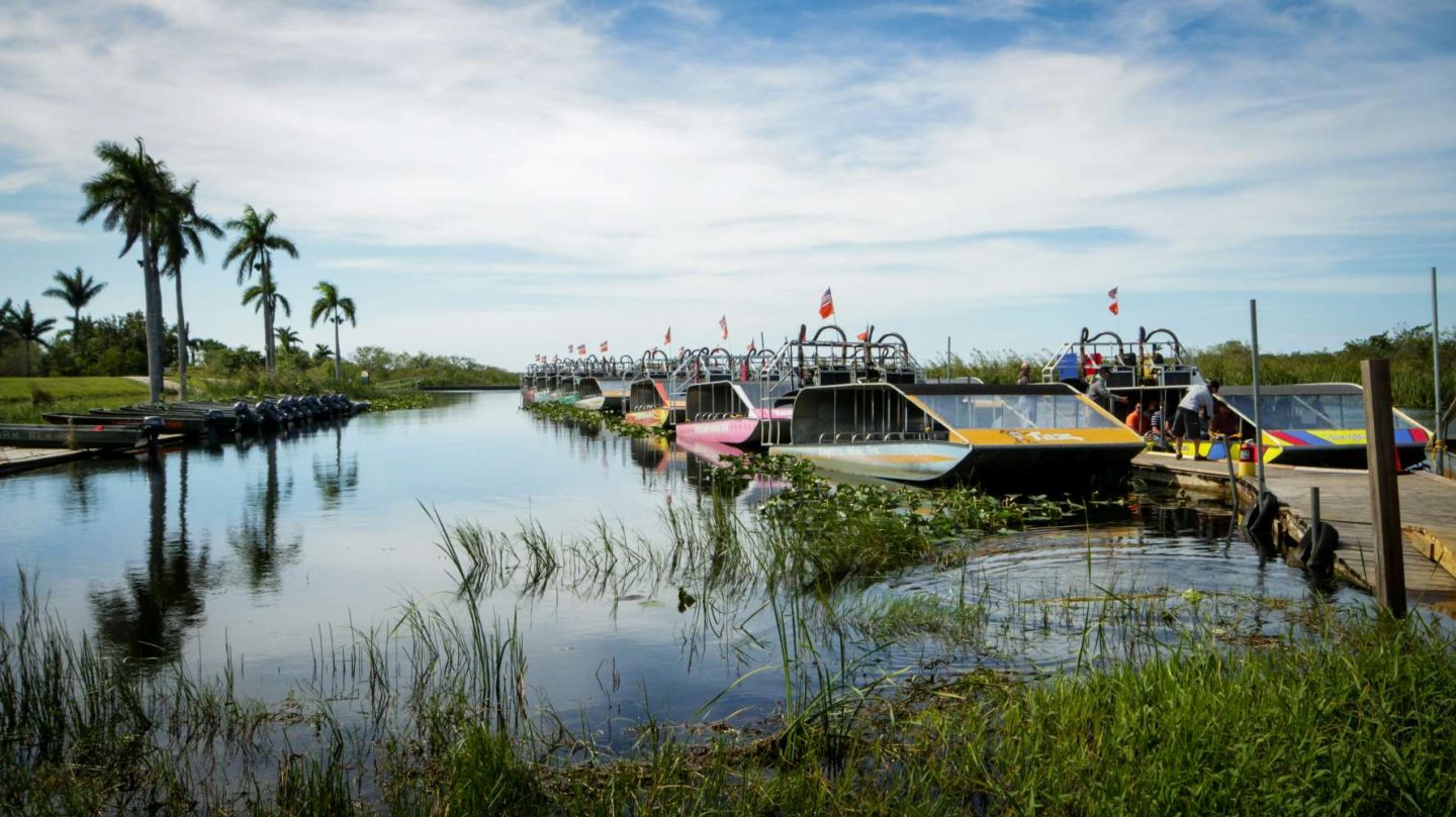 Entdecke die Wildnis: Der Everglades Nationalpark in Florida
