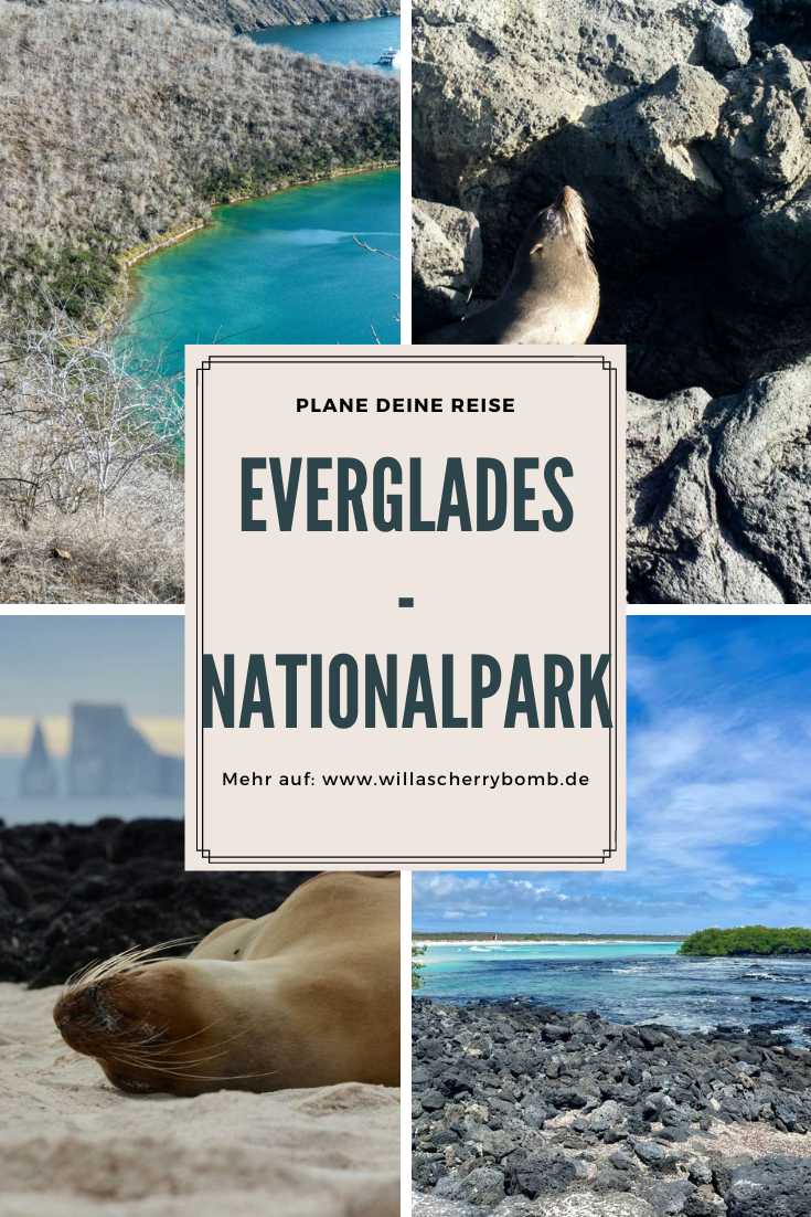 Entdecke die Wildnis Der Everglades Nationalpark in Florida