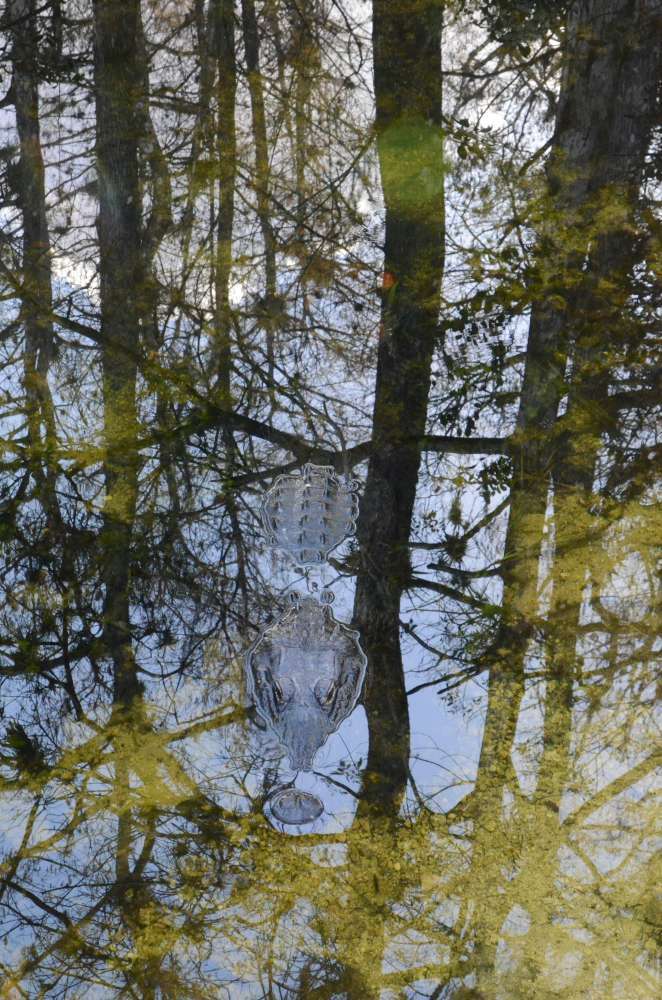 Entdecke die Wildnis: Der Everglades Nationalpark in Florida